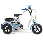 Triciclu Aqua
