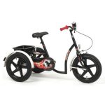 Triciclu Sporty