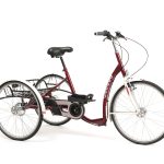 Triciclu pentru adulti LAGOON cu Pinion 06