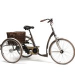 Triciclu pentru adulti VINTAGE cu Pinion 01 si Frână B1